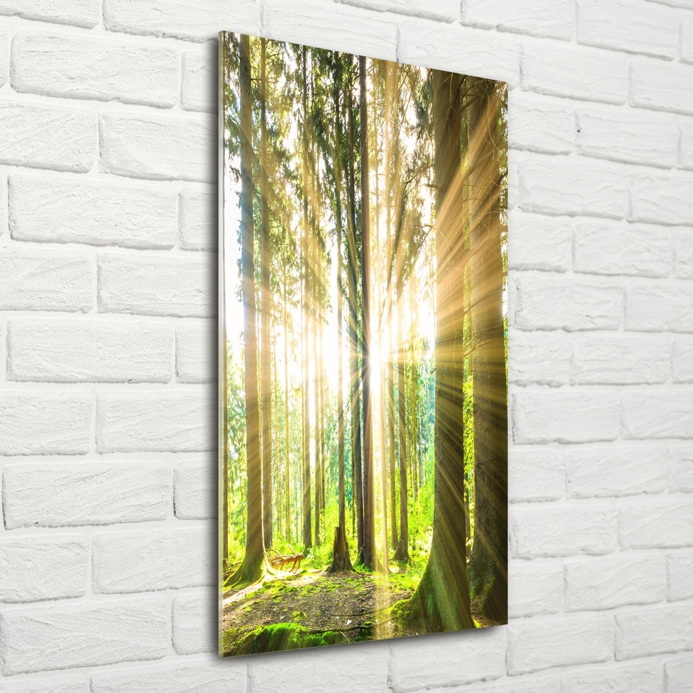 Foto obraz szkło akryl pionowy Słońce w lesie