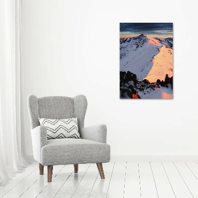 Foto obraz szkło akryl pionowy Góry zimą