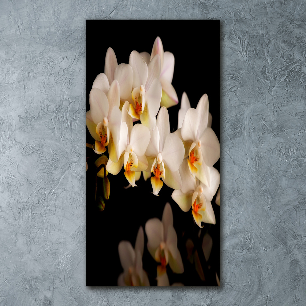 Foto obraz szkło akryl pionowy Orchidea