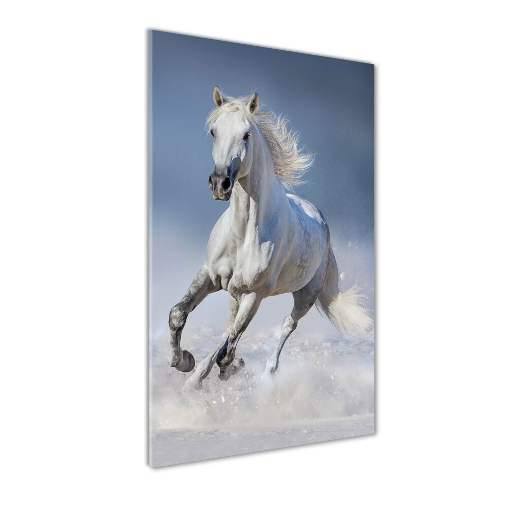 Obraz zdjęcie akryl pionowy Biały koń w galopie