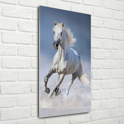 Obraz zdjęcie akryl pionowy Biały koń w galopie