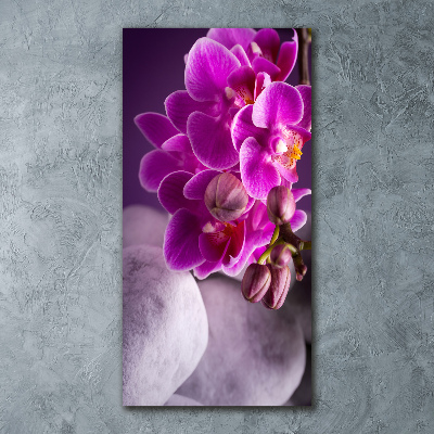 Foto obraz szkło akryl pionowy Różowa orchidea
