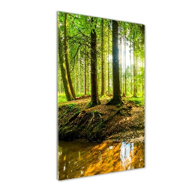 Foto obraz na ścianę akryl pionowy Strumień w lasie