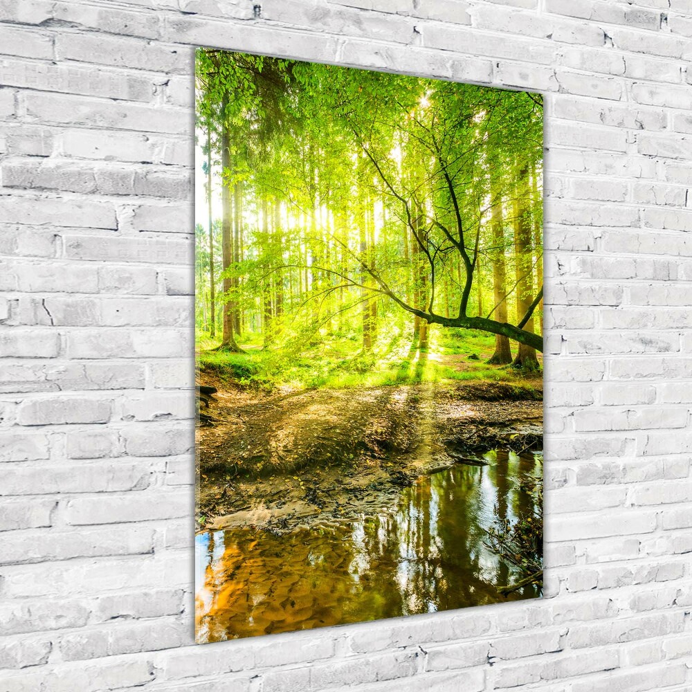 Foto obraz na ścianę akryl pionowy Strumień w lasie