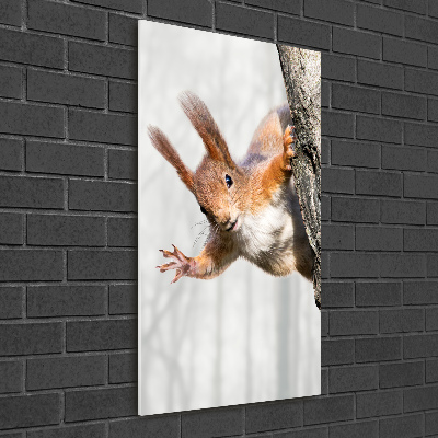 Obraz zdjęcie na scianę akrylowy pionowy Wiewiórka na drzewie