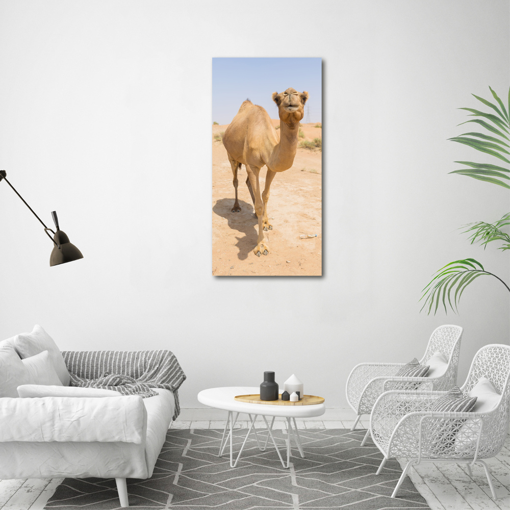 Obraz zdjęcie szkło akryl pionowy Wielbłąd na pustyni