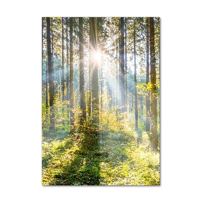 Foto obraz akryl pionowy Słońce w lesie