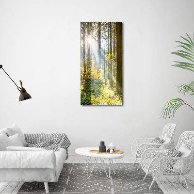 Foto obraz akryl pionowy Słońce w lesie