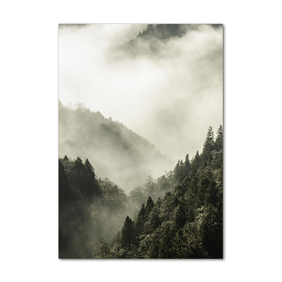 Foto obraz szkło akryl pionowy Mgła nad lasem