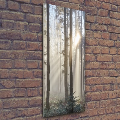 Foto obraz szkło akryl pionowy Mgła w lesie