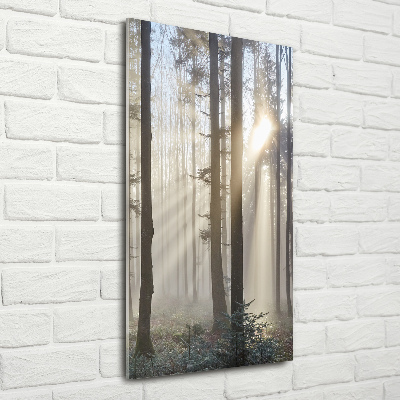 Foto obraz szkło akryl pionowy Mgła w lesie