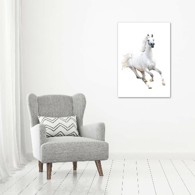 Obraz zdjęcie na ścianę akryl pionowy Biały koń w galopie