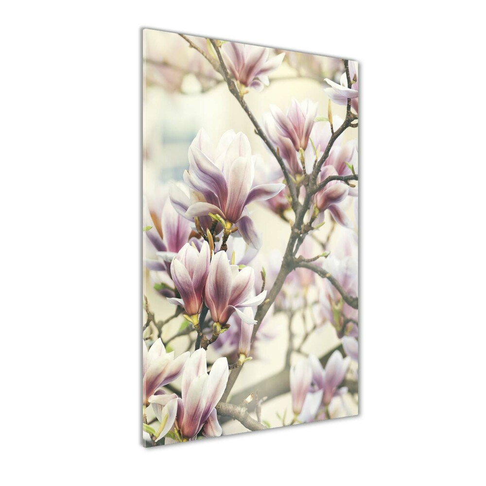 Obraz zdjęcie szkło akryl pionowy Magnolia