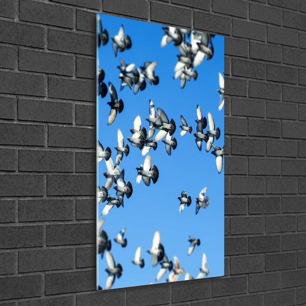 Foto obraz szkło akryl pionowy Gołębie na niebie