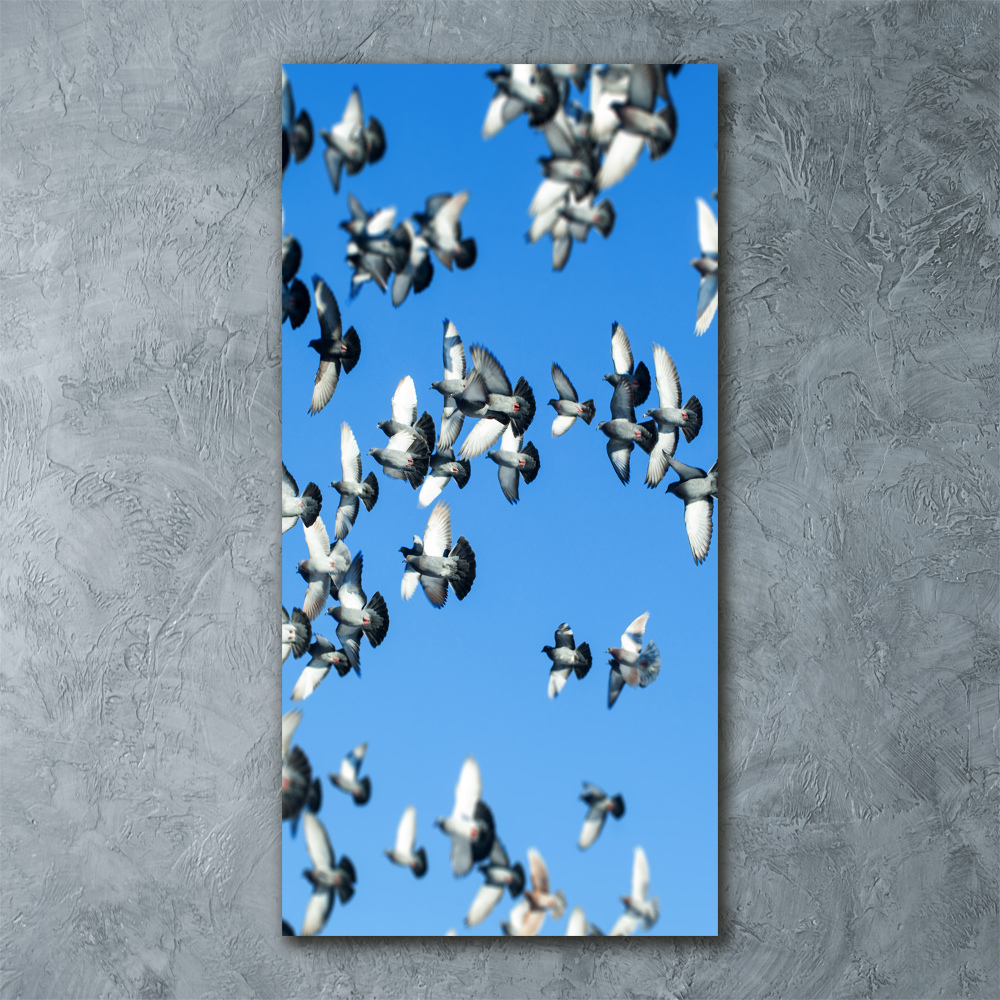 Foto obraz szkło akryl pionowy Gołębie na niebie