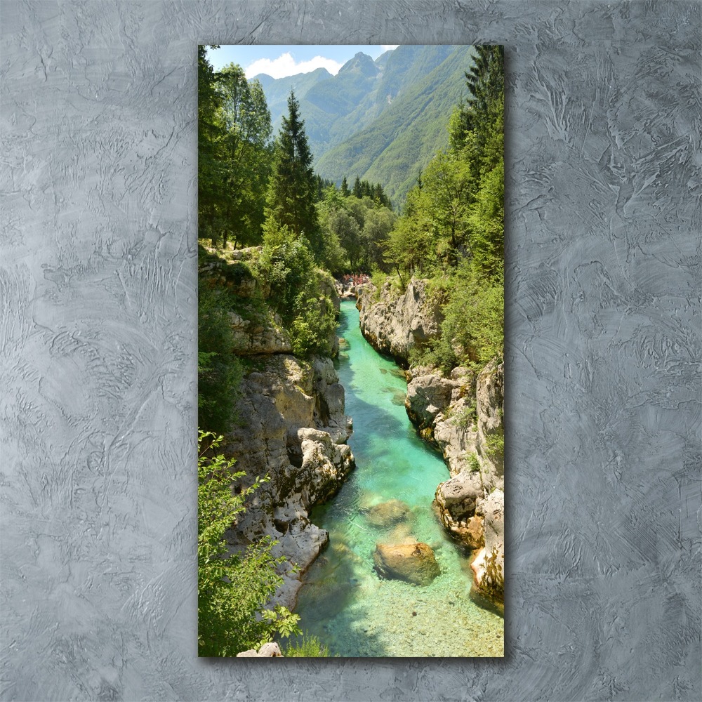 Foto obraz na ścianę akryl pionowy Potok górski