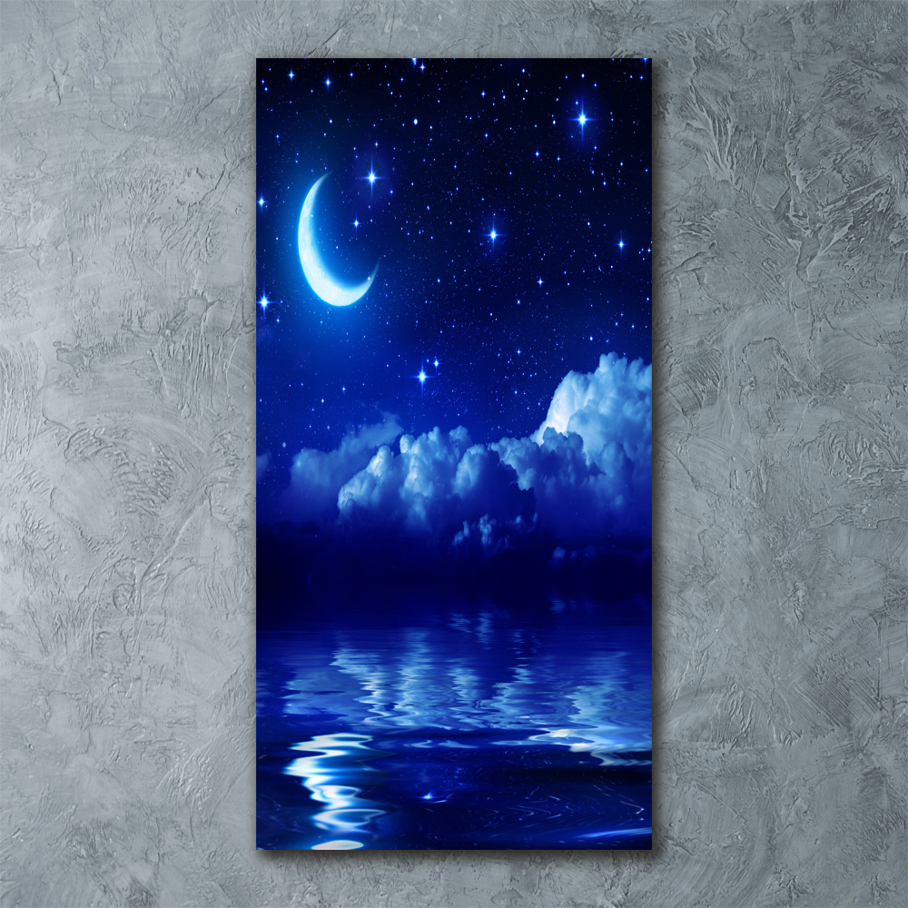 Foto obraz szkło akryl pionowy Niebo nocą