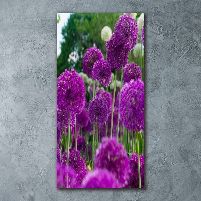 Obraz zdjęcie szkło akryl pionowy Kwiaty czosnku