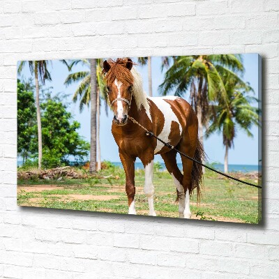 Foto obraz canvas Łaciaty koń