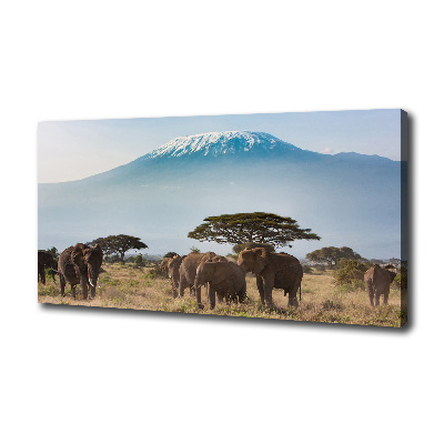 Foto obraz na płótnie Słonie Kilimandżaro