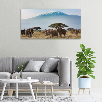 Foto obraz na płótnie Słonie Kilimandżaro