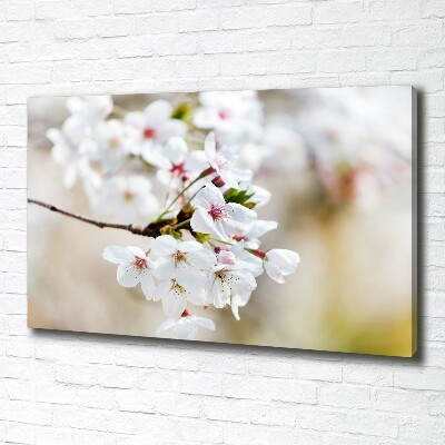 Duży Foto obraz na płótnie Kwiaty wiśni