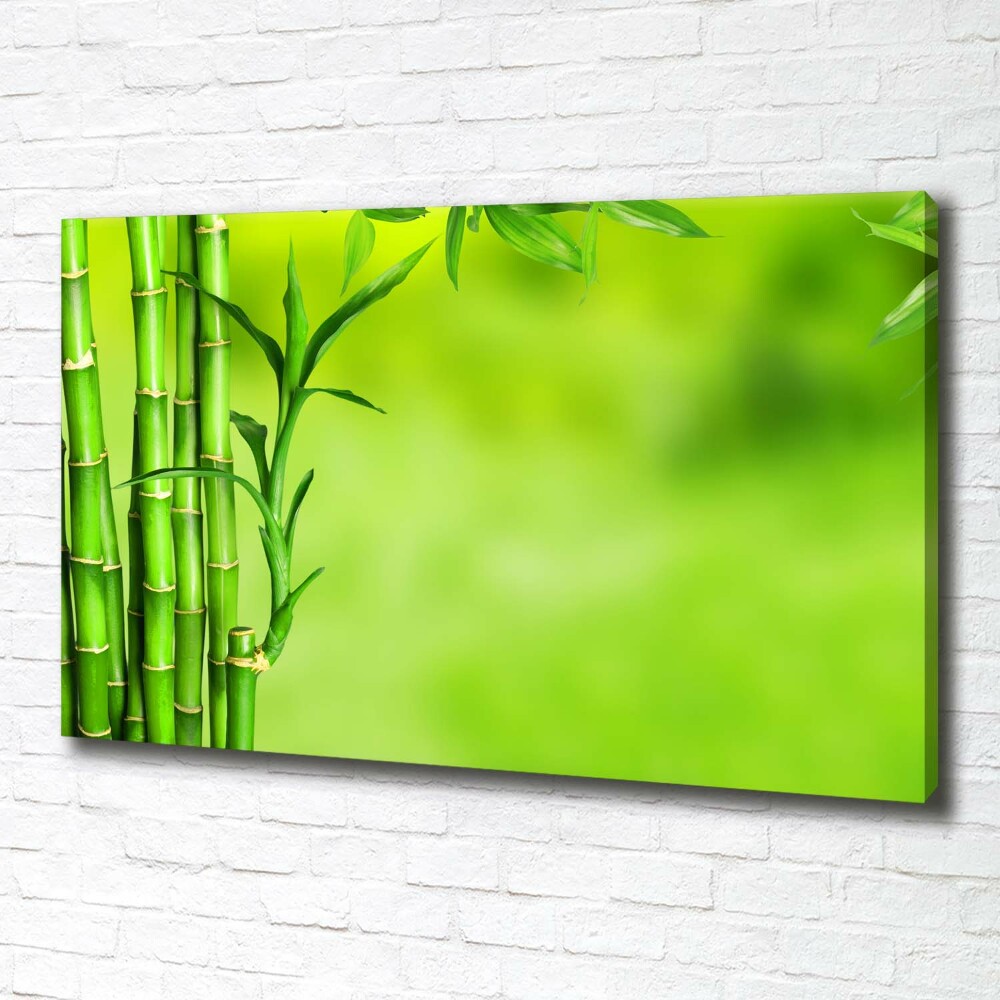 Duży foto obraz na ścianę canvas Bambus