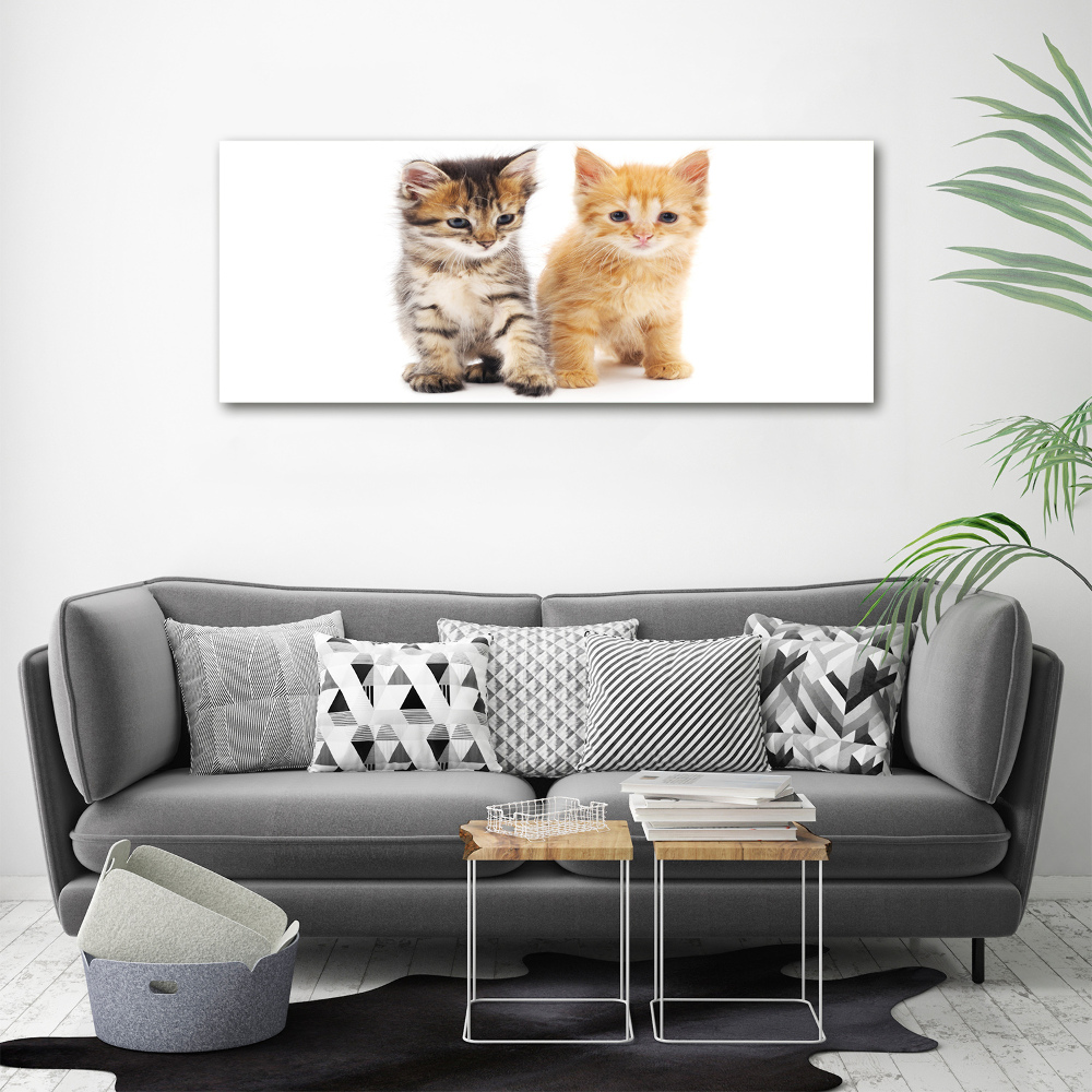 Foto obraz na płótnie Brązowy i rudy kot