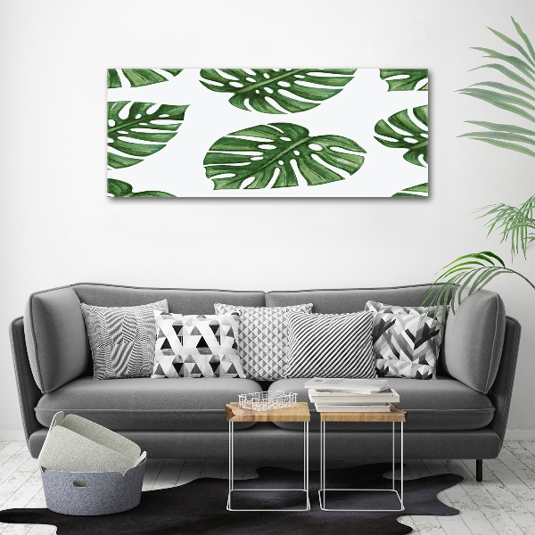 Foto obraz canvas Monstera