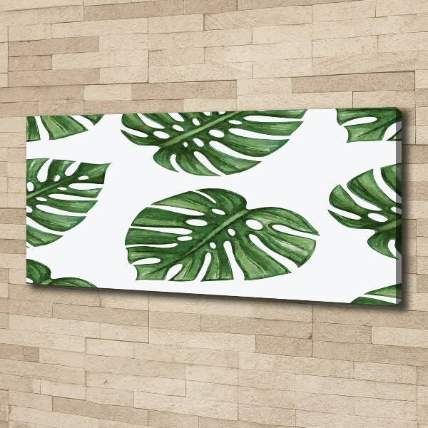 Foto obraz canvas Monstera