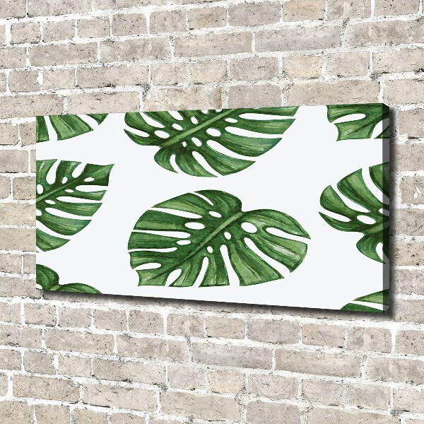 Foto obraz canvas Monstera