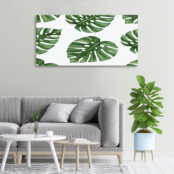 Foto obraz canvas Monstera