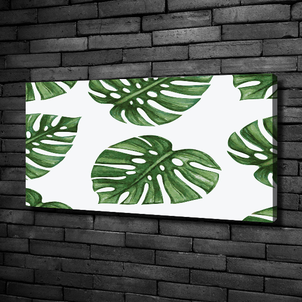 Foto obraz canvas Monstera