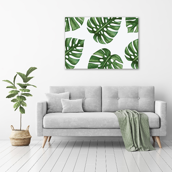 Foto obraz canvas Monstera