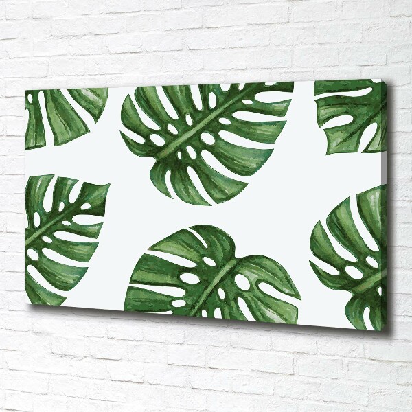 Foto obraz canvas Monstera