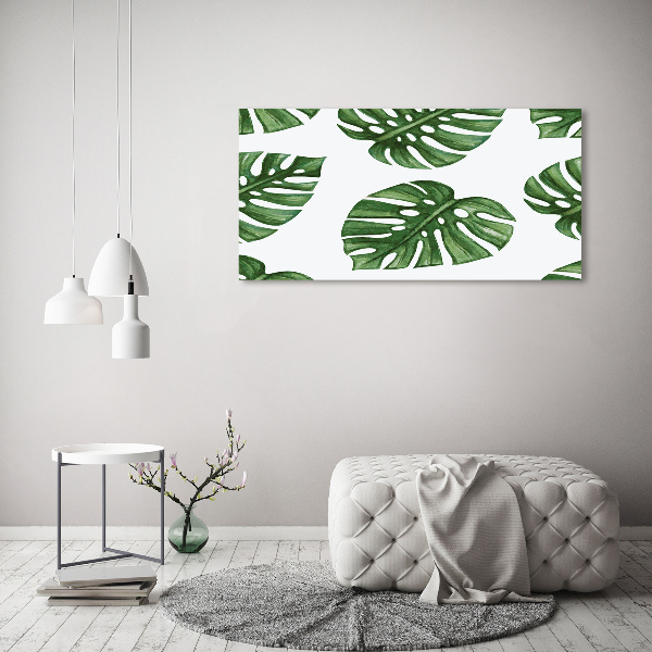 Foto obraz canvas Monstera