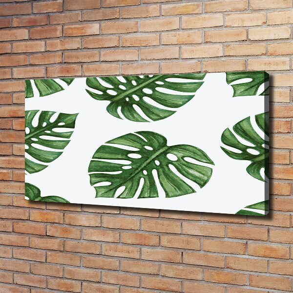 Foto obraz canvas Monstera