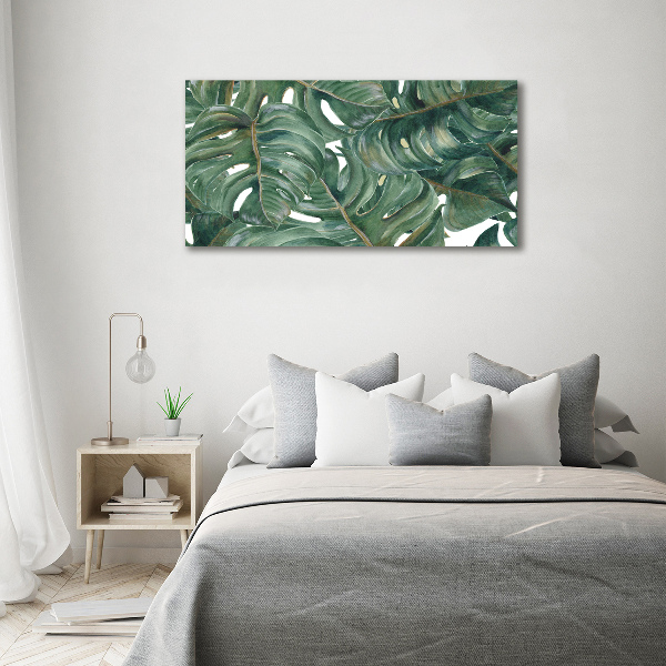 Foto obraz canvas Monstera