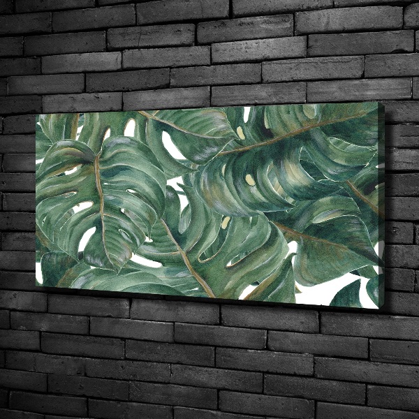 Foto obraz canvas Monstera