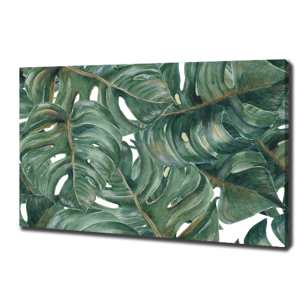 Foto obraz canvas Monstera