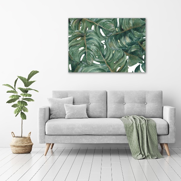 Foto obraz canvas Monstera