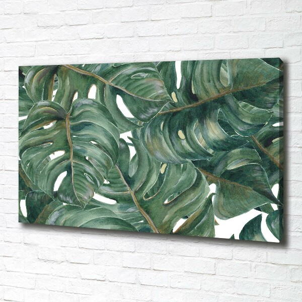 Foto obraz canvas Monstera