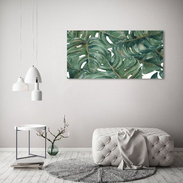 Foto obraz canvas Monstera