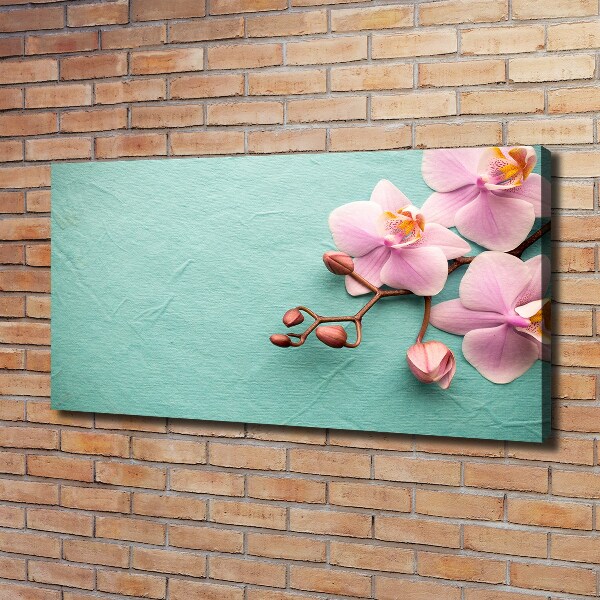 Foto obraz canvas Orchidea