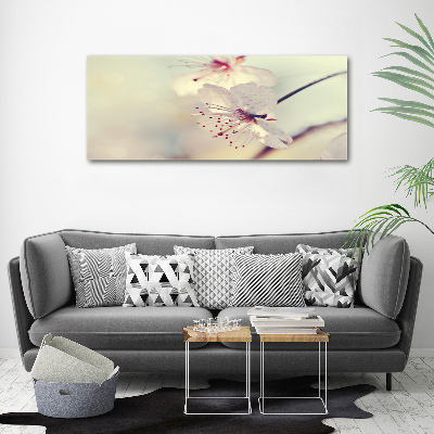 Foto obraz canvas Kwiat wiśni