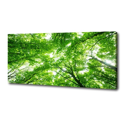 Foto obraz canvas Zielony las