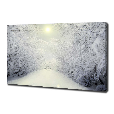 Foto obraz na płótnie Piękny las zimą