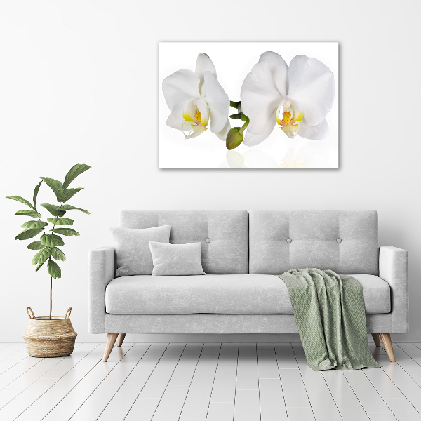 Foto obraz canvas Orchidea