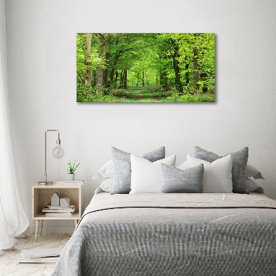 Duży Foto obraz na płótnie Wiosenny las