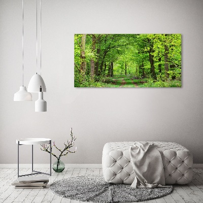 Duży Foto obraz na płótnie Wiosenny las